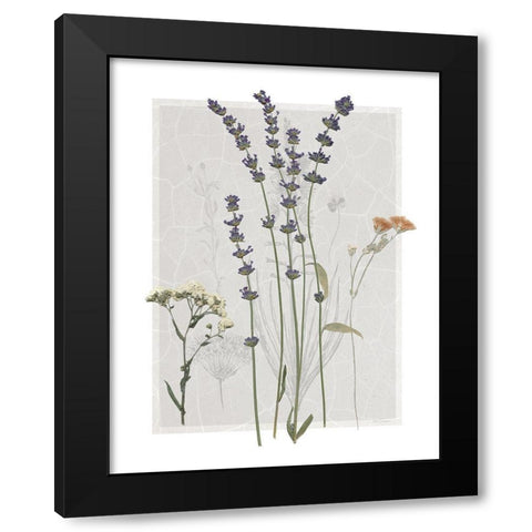Field Study Page I Black Modern Wood Framed Art Print with Double Matting by Robinson, Carol