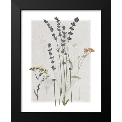 Field Study Page I Black Modern Wood Framed Art Print by Robinson, Carol