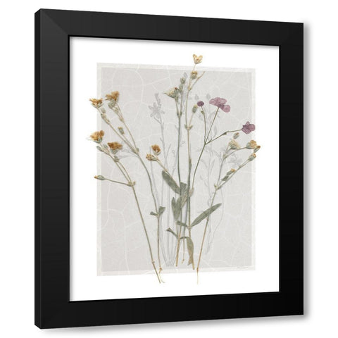 Field Study Page II Black Modern Wood Framed Art Print with Double Matting by Robinson, Carol