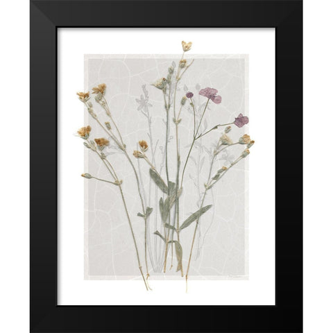 Field Study Page II Black Modern Wood Framed Art Print by Robinson, Carol
