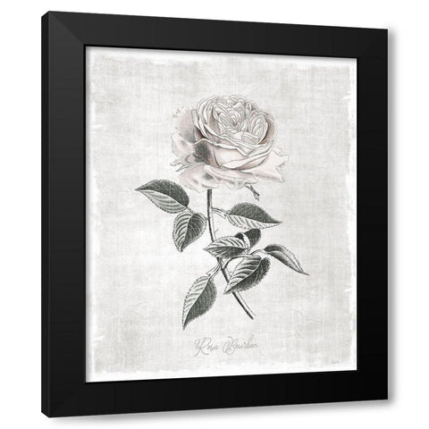 Vintage Botanical I Black Modern Wood Framed Art Print with Double Matting by Carpentieri, Natalie