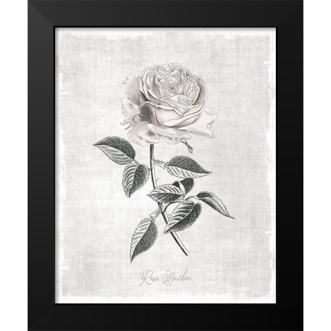 Vintage Botanical I Black Modern Wood Framed Art Print by Carpentieri, Natalie