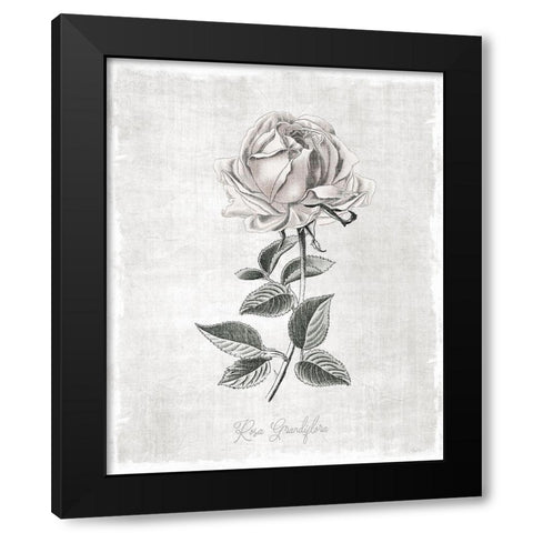 Vintage Botanical II Black Modern Wood Framed Art Print with Double Matting by Carpentieri, Natalie