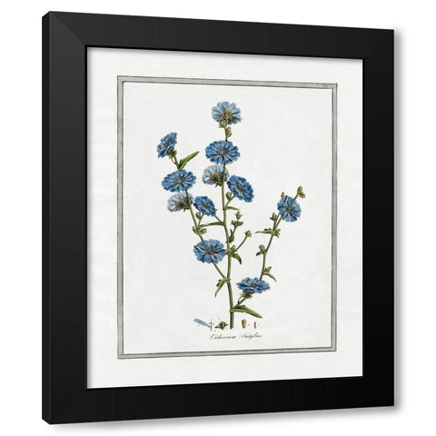 Soft Botanical I Black Modern Wood Framed Art Print by CAD Designs