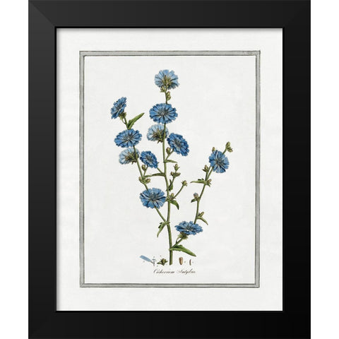 Soft Botanical I Black Modern Wood Framed Art Print by CAD Designs