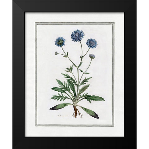 Soft Botanical II Black Modern Wood Framed Art Print by CAD Designs