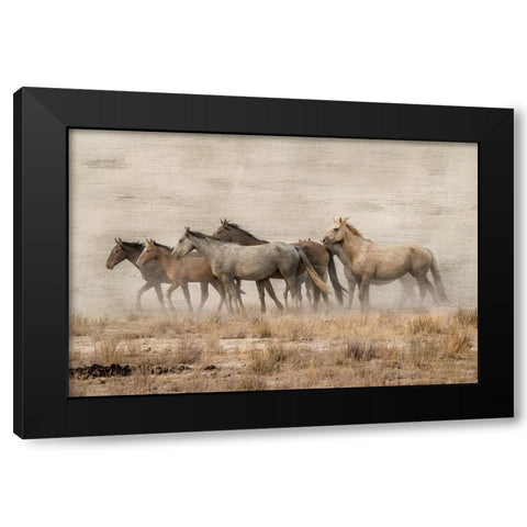 Roaming Free Black Modern Wood Framed Art Print by Delimont, Danita