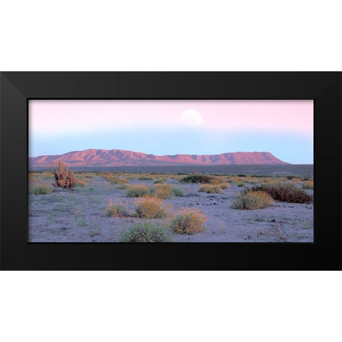 Vallenar Atacama Desert Black Modern Wood Framed Art Print by Delimont, Danita