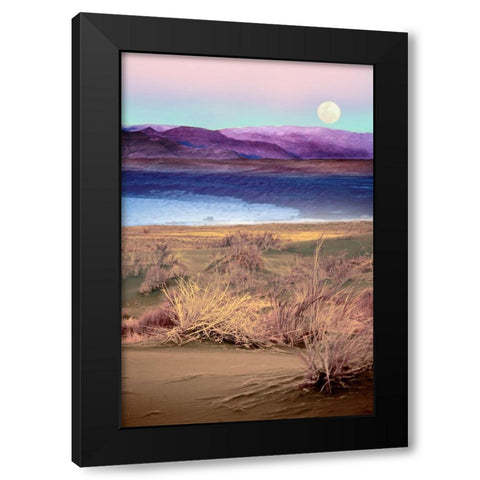 Moonrise, Namibia Black Modern Wood Framed Art Print with Double Matting by Delimont, Danita