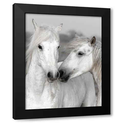 Affection I Black Modern Wood Framed Art Print with Double Matting by Delimont, Danita