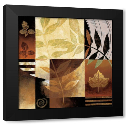 Natures Elements II Black Modern Wood Framed Art Print with Double Matting by Mallett, Keith