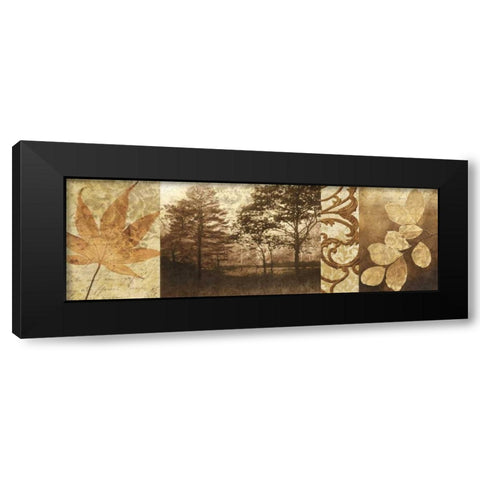 Equinox II Black Modern Wood Framed Art Print with Double Matting by Mallett, Keith