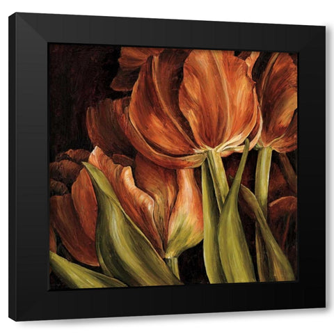 Color Harmony I Black Modern Wood Framed Art Print by Thompson, Linda
