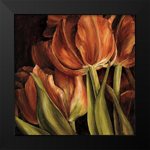 Color Harmony I Black Modern Wood Framed Art Print by Thompson, Linda