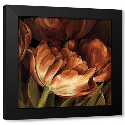 Color Harmony II Black Modern Wood Framed Art Print by Thompson, Linda