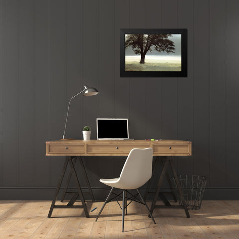 Enlighten Me Black Modern Wood Framed Art Print by Frank, Assaf