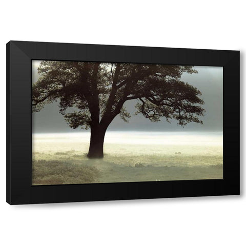 Enlighten Me Black Modern Wood Framed Art Print by Frank, Assaf