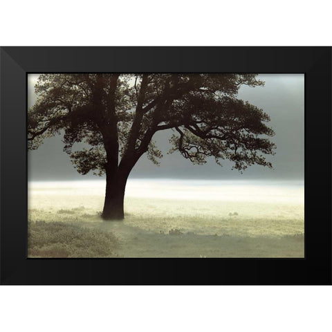 Enlighten Me Black Modern Wood Framed Art Print by Frank, Assaf