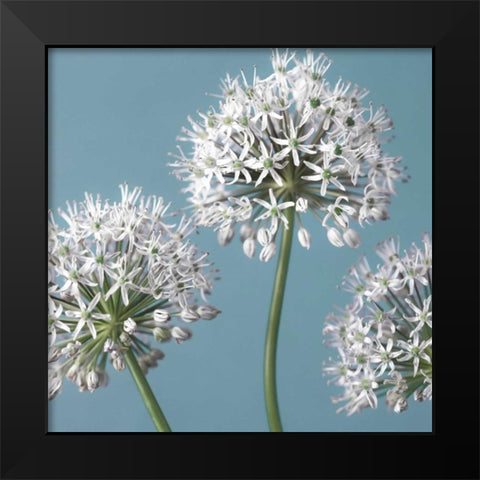 Bliss I Black Modern Wood Framed Art Print by Frank, Assaf