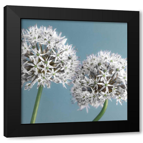 Bliss II Black Modern Wood Framed Art Print by Frank, Assaf