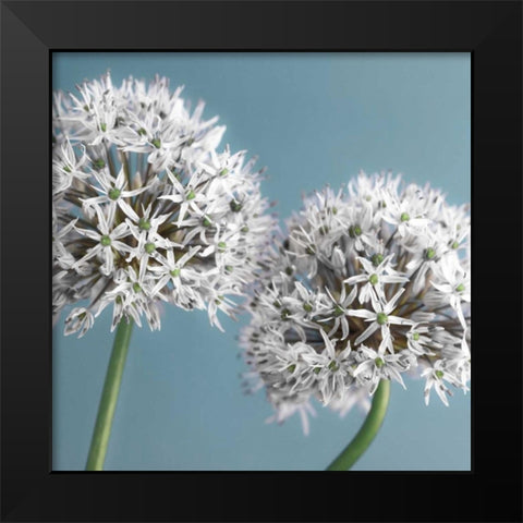 Bliss II Black Modern Wood Framed Art Print by Frank, Assaf