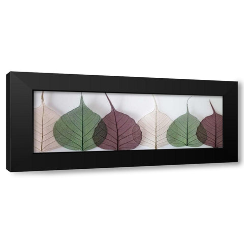 Leafy Address Black Modern Wood Framed Art Print by Frank, Assaf