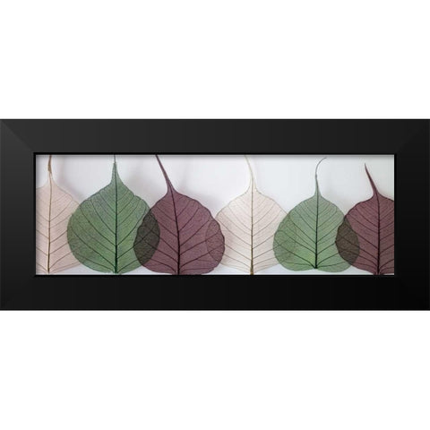 Leafy Address Black Modern Wood Framed Art Print by Frank, Assaf