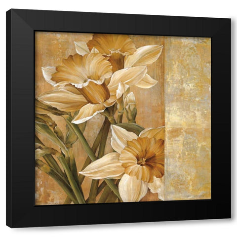 Champagne Daffodils I Black Modern Wood Framed Art Print with Double Matting by Thompson, Linda