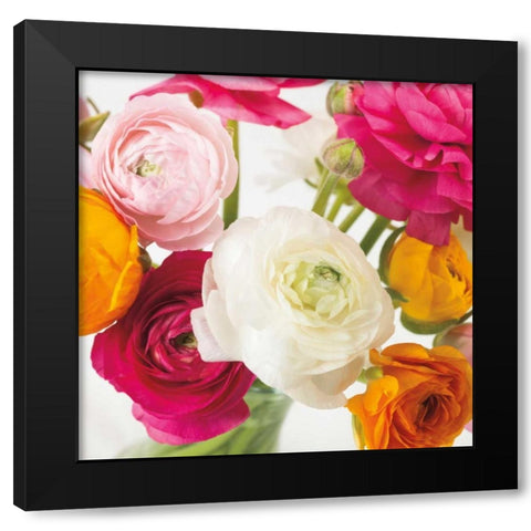 Burst of Sunshine I Black Modern Wood Framed Art Print by Frank, Assaf