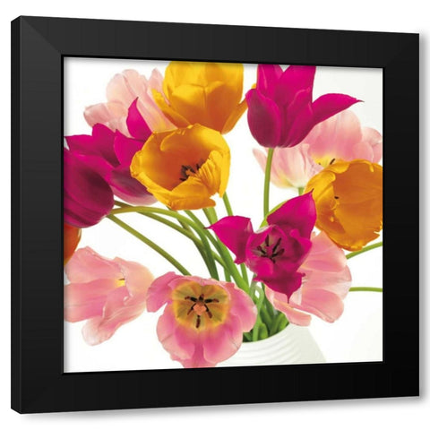 Burst of Sunshine II Black Modern Wood Framed Art Print by Frank, Assaf