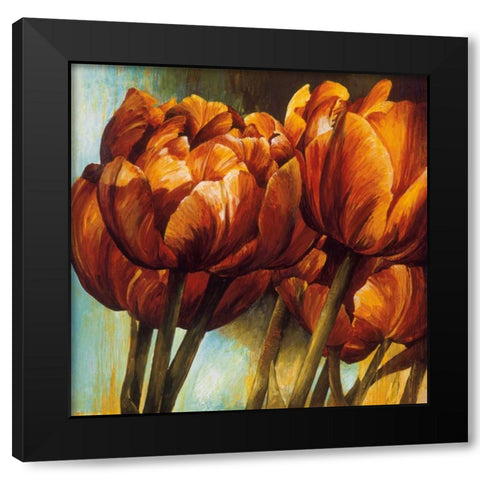 Floral Radiance I Black Modern Wood Framed Art Print with Double Matting by Thompson, Linda