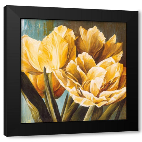 Floral Radiance II Black Modern Wood Framed Art Print with Double Matting by Thompson, Linda