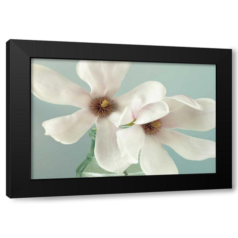 Magnolias Black Modern Wood Framed Art Print by Frank, Assaf