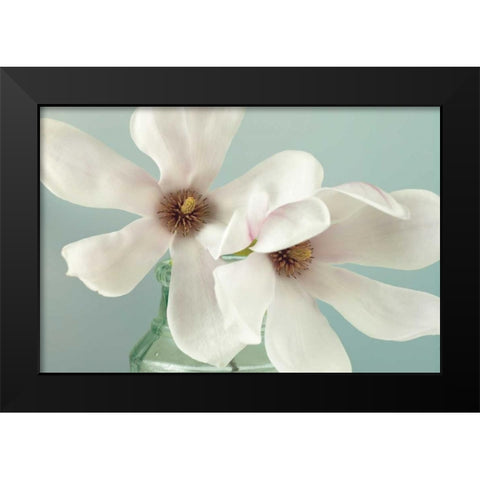Magnolias Black Modern Wood Framed Art Print by Frank, Assaf