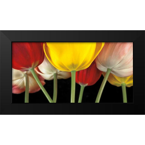 Sunshine Tulips Black Modern Wood Framed Art Print by Frank, Assaf