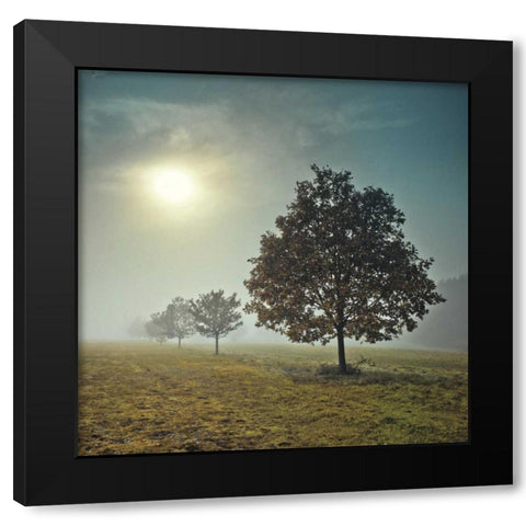 Its a New Day Black Modern Wood Framed Art Print by Frank, Assaf