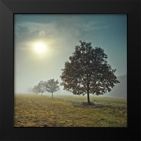 Its a New Day Black Modern Wood Framed Art Print by Frank, Assaf