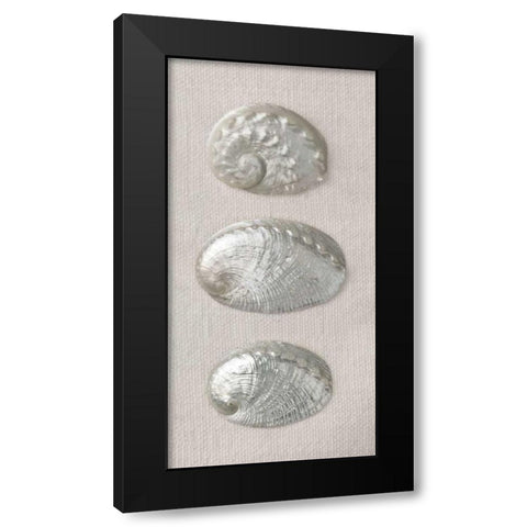 Opalescent II Black Modern Wood Framed Art Print by Frank, Assaf