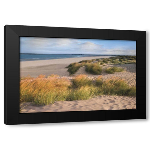 Sandy Shores Black Modern Wood Framed Art Print by Frank, Assaf