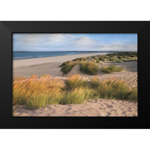 Sandy Shores Black Modern Wood Framed Art Print by Frank, Assaf