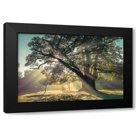 Breaking Through Black Modern Wood Framed Art Print by Frank, Assaf
