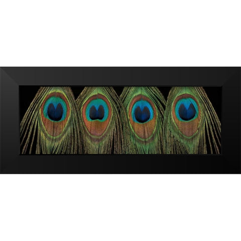 Royal Show Black Modern Wood Framed Art Print by Frank, Assaf