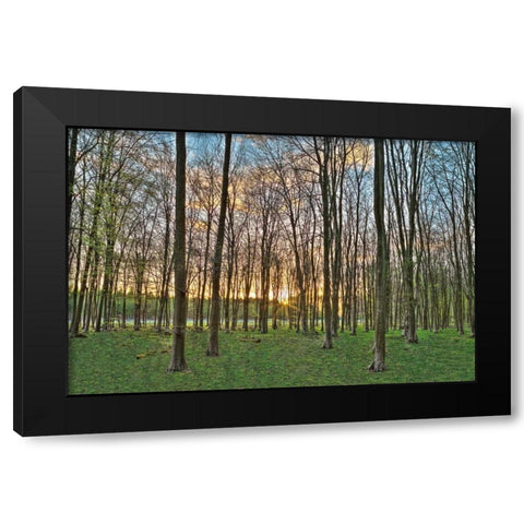 Secret Sunset Black Modern Wood Framed Art Print by Frank, Assaf