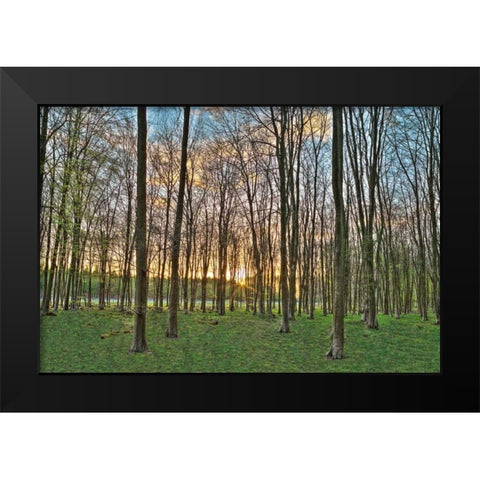 Secret Sunset Black Modern Wood Framed Art Print by Frank, Assaf