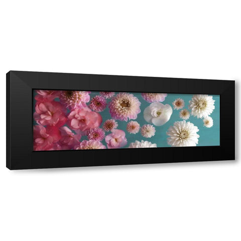 Garden Splash Black Modern Wood Framed Art Print by Frank, Assaf