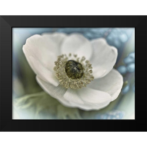 Inspired Black Modern Wood Framed Art Print by Frank, Assaf