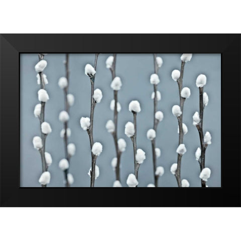 Protected Black Modern Wood Framed Art Print by Frank, Assaf