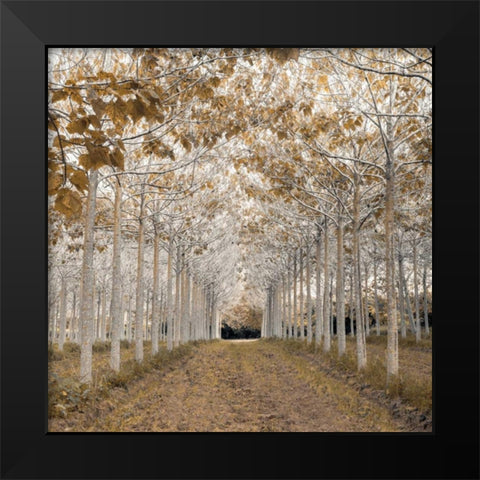 White Gold Black Modern Wood Framed Art Print by Frank, Assaf
