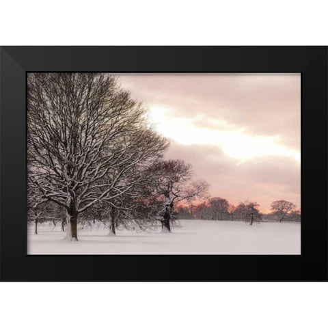 Rosy Sunset Black Modern Wood Framed Art Print by Frank, Assaf