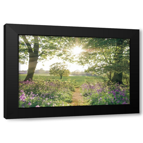 Something Beautiful Black Modern Wood Framed Art Print by Frank, Assaf